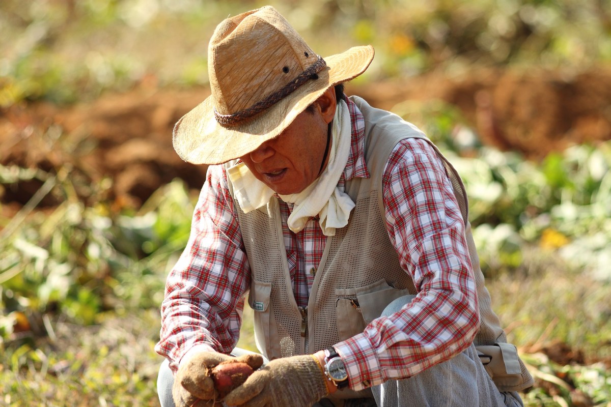 Reconoce a los actores clave de la cadena de comercialización en el agro